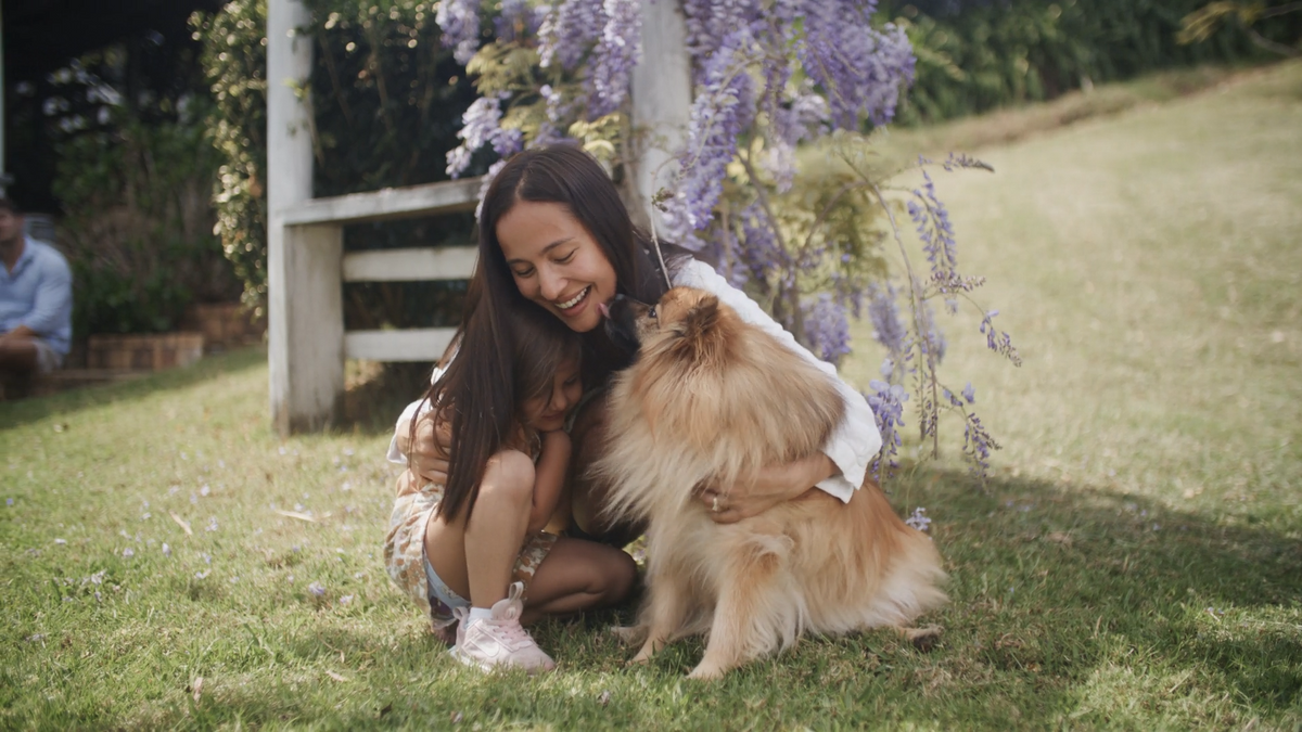 Smart Pet Care Starts with Trust: Building Safer Everyday Routines