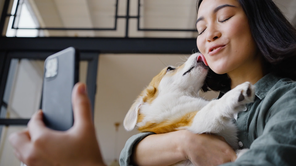 Connected Care at Home: How Smart Pet Technology Supports Modern Pet Parents