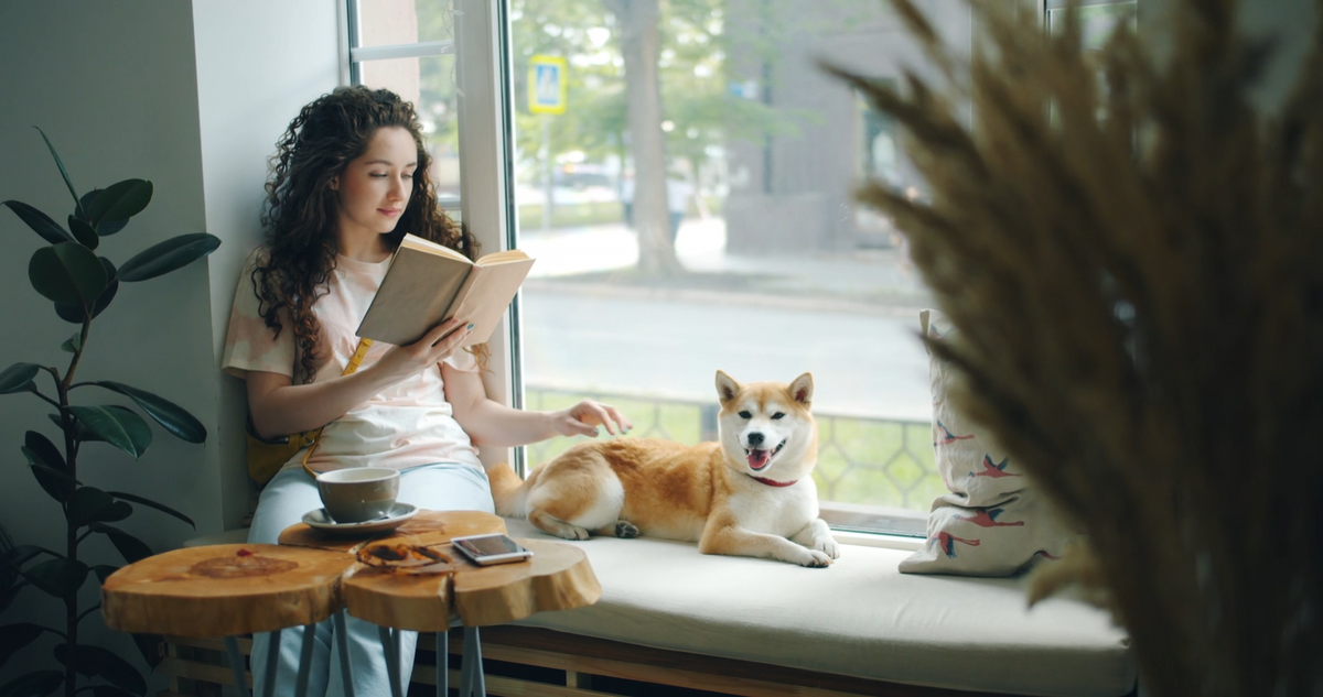 A Smarter Home for Happier Pets: Building Calm, Consistent Daily Routines