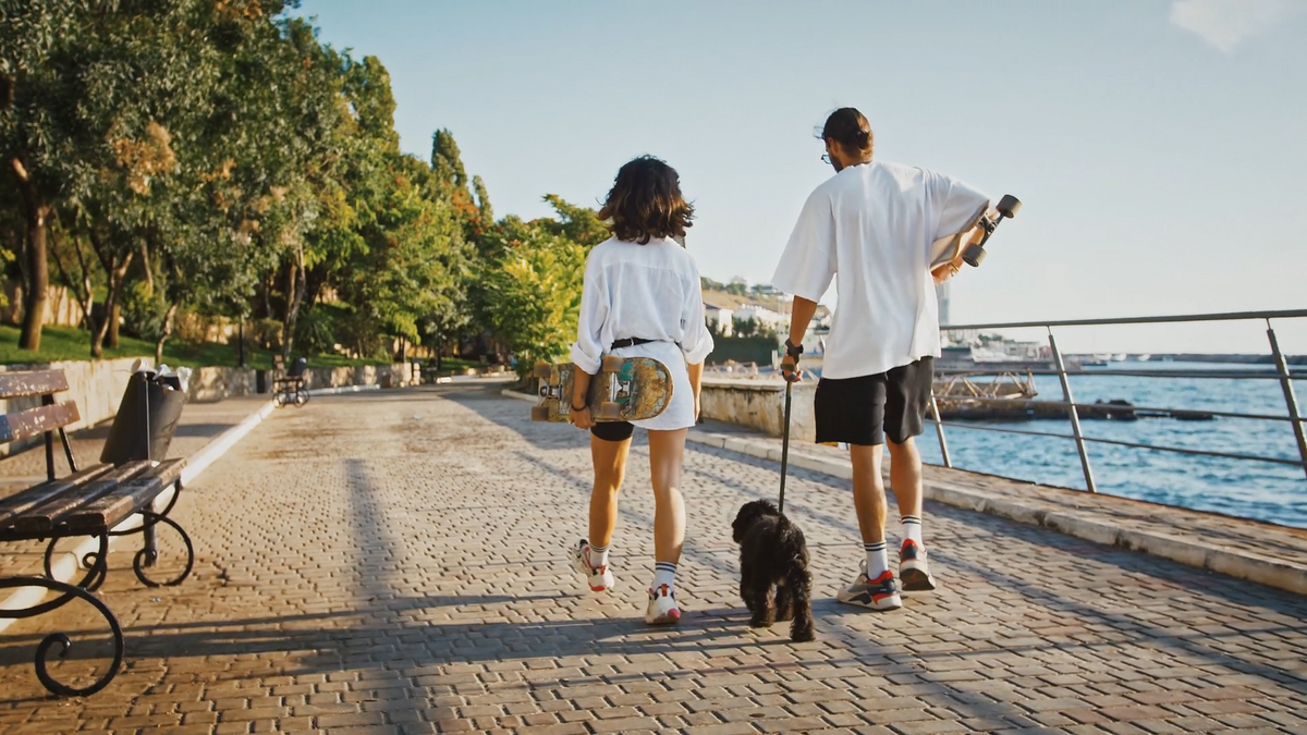 Freedom with Confidence: Smarter Outdoor Safety for Active Pets