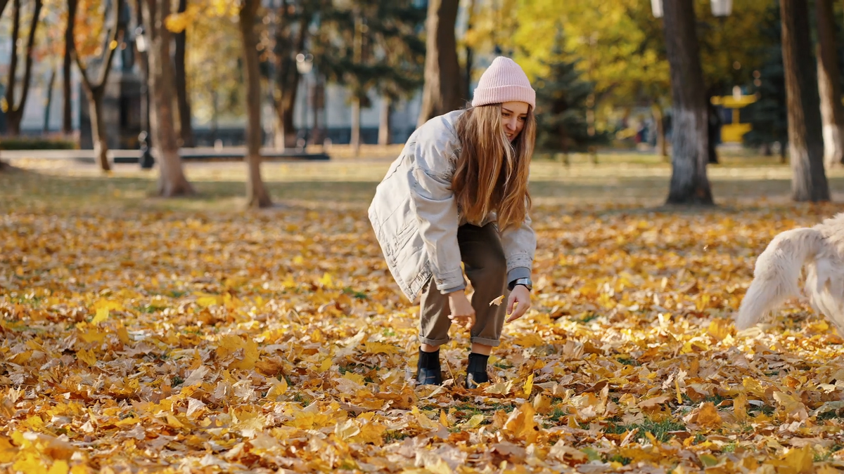 Seasonal Pet Safety: Keeping Dogs Visible, Secure, and Comfortable Outdoors