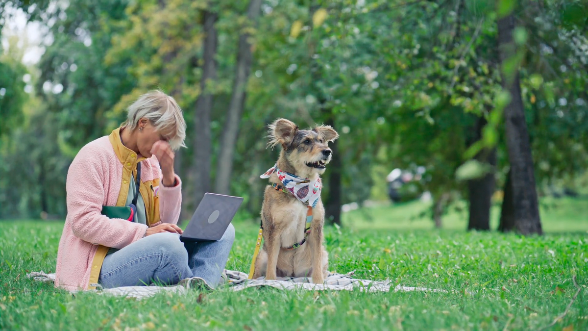 Pet Care While Life Moves: How Smart Devices Support Busy Owners