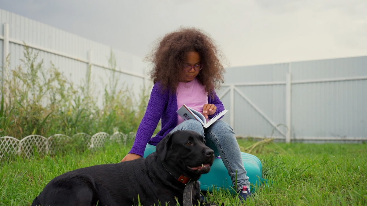 Helping Pets Learn Safely: A Modern Guide to Training, Behavior, and Family Life
