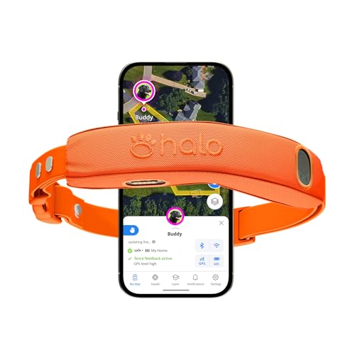 Halo Collar 5 GPS Wireless Dog Fence with Activity Tracking