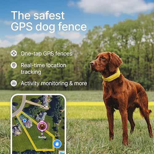 Halo Collar 5 GPS Wireless Dog Fence with Activity Tracking