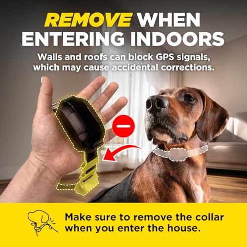 Dogtra GPS Fence – No Subscription, Custom Wireless Dog Fence with App, Smart Guidance & Return Reminder Tone/Vibration/Correction, IPX9K Waterproof Rechargeable Collar, Safe Freedom for Dogs 35 Lbs+