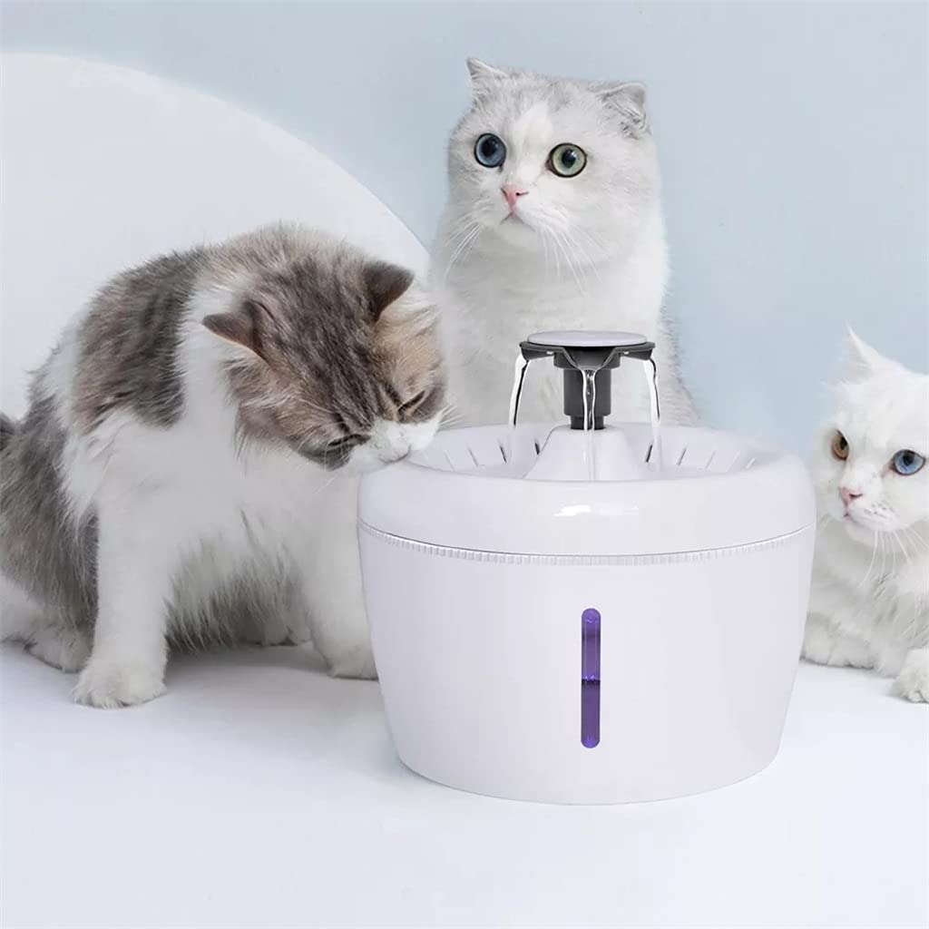 GHDVGHC Pet Water Fountain Automatic Dispenser Feeder Bowl LED Light Smart Dog Drinking