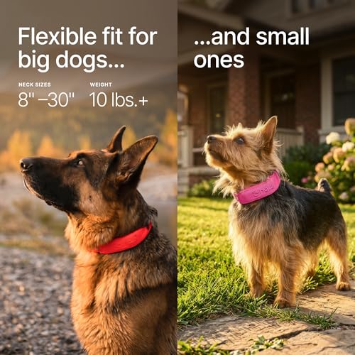 Halo Collar 5 GPS Wireless Dog Fence with Activity Tracking