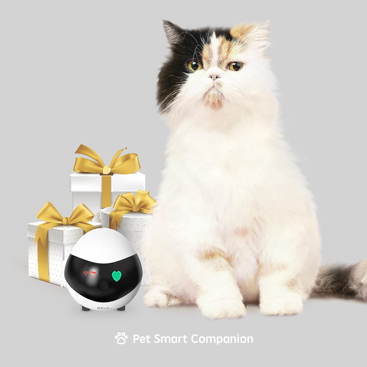 Enabot EBO SE 1080P Smart Pet Companion Robot Camera