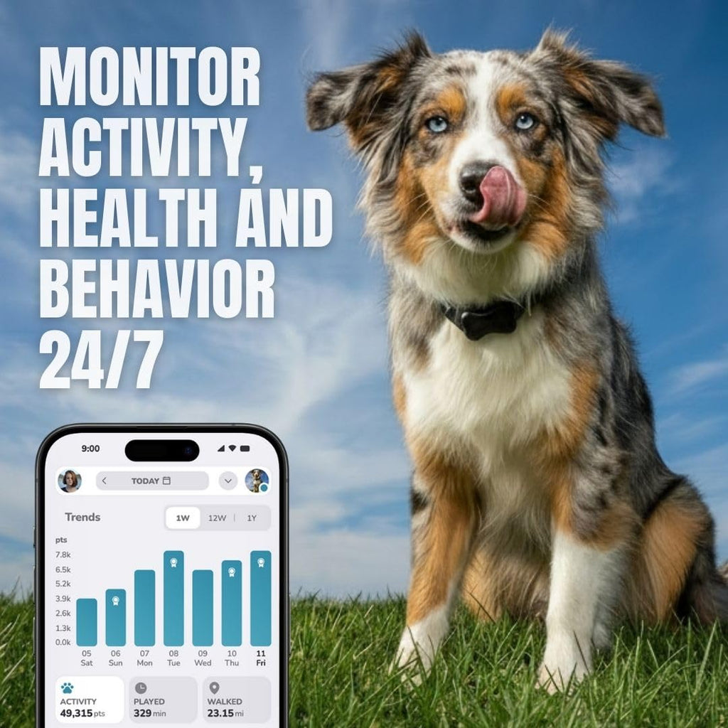 FitBark 2 Dog Health & Activity Monitor Fitness Tracker