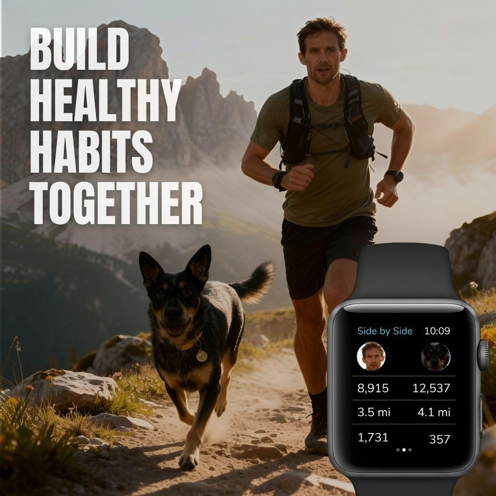 FitBark 2 Dog Health & Activity Monitor Fitness Tracker