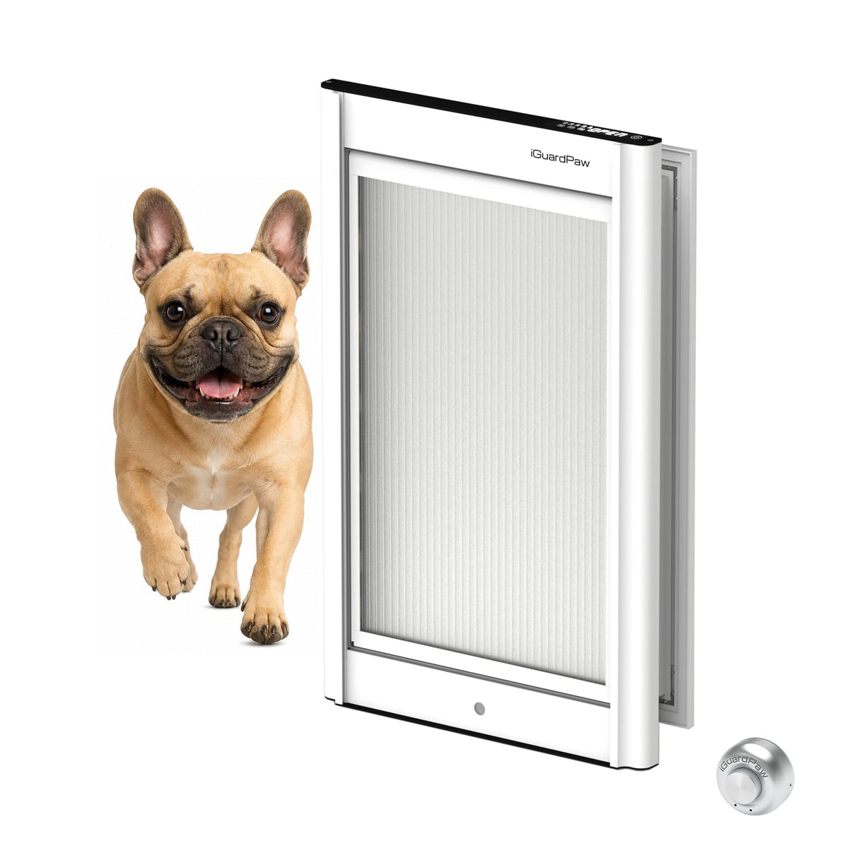iGuardPaw Door-Mount Automatic Electronic Pet Door