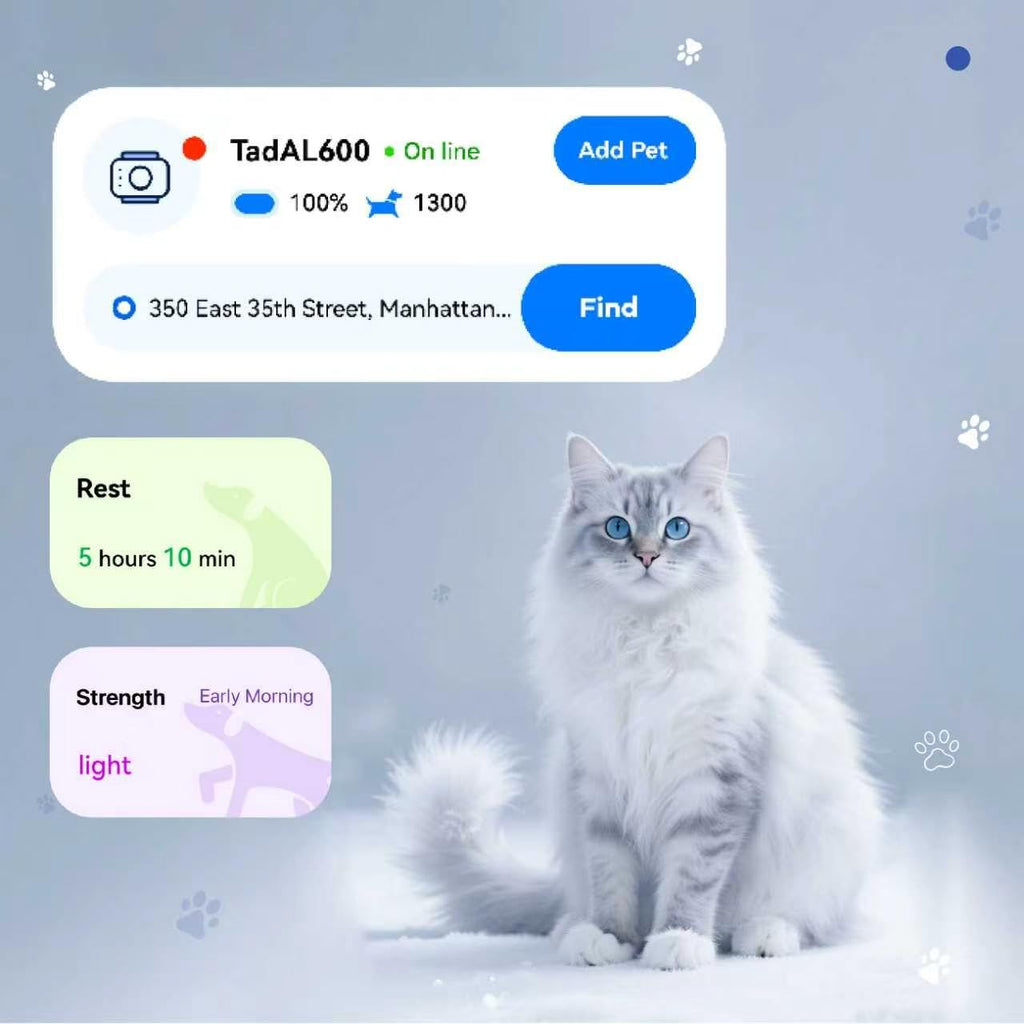 Real-Time Smart GPS Pet Tracker with 1-Month Subscription