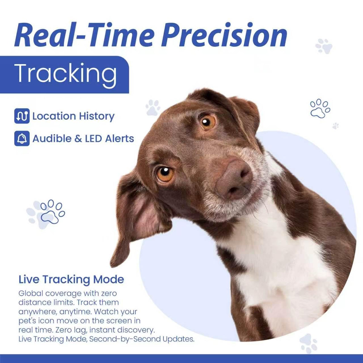 Pet Real Time GPS Tracker, Smart Dog Tracker GPS with 1 Month Subscription