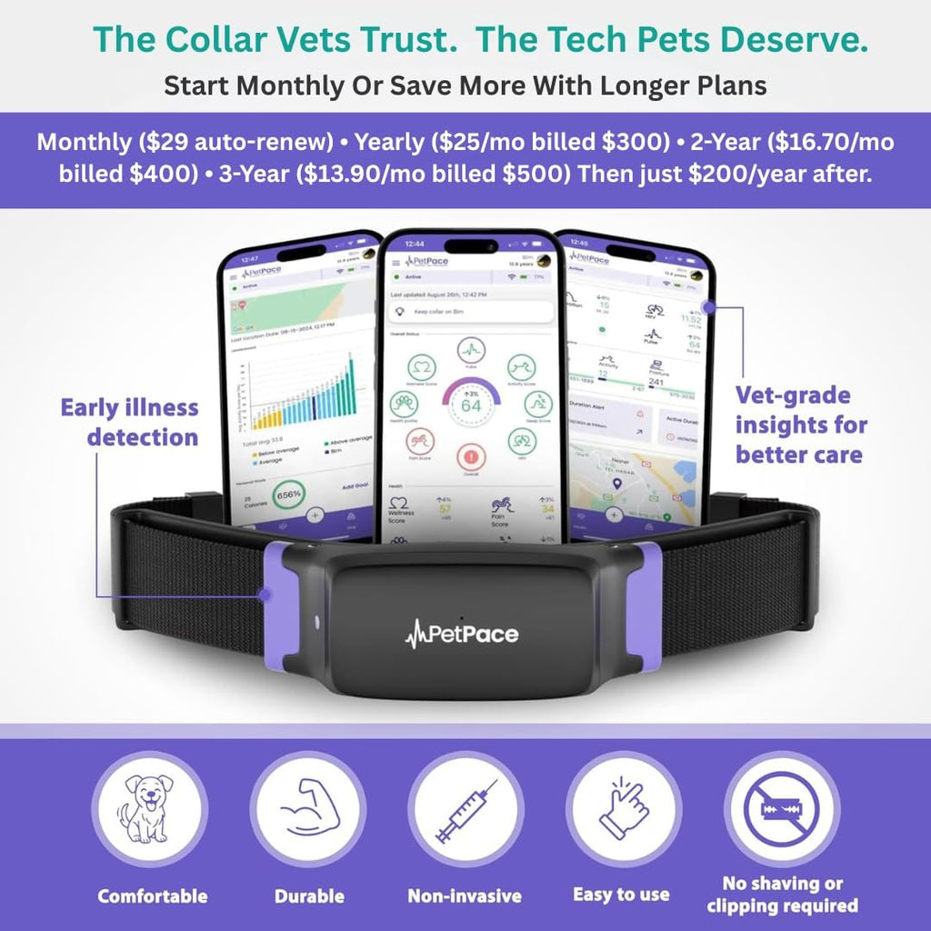PetPace V3.0 AI Cat Health & GPS Monitoring Collar