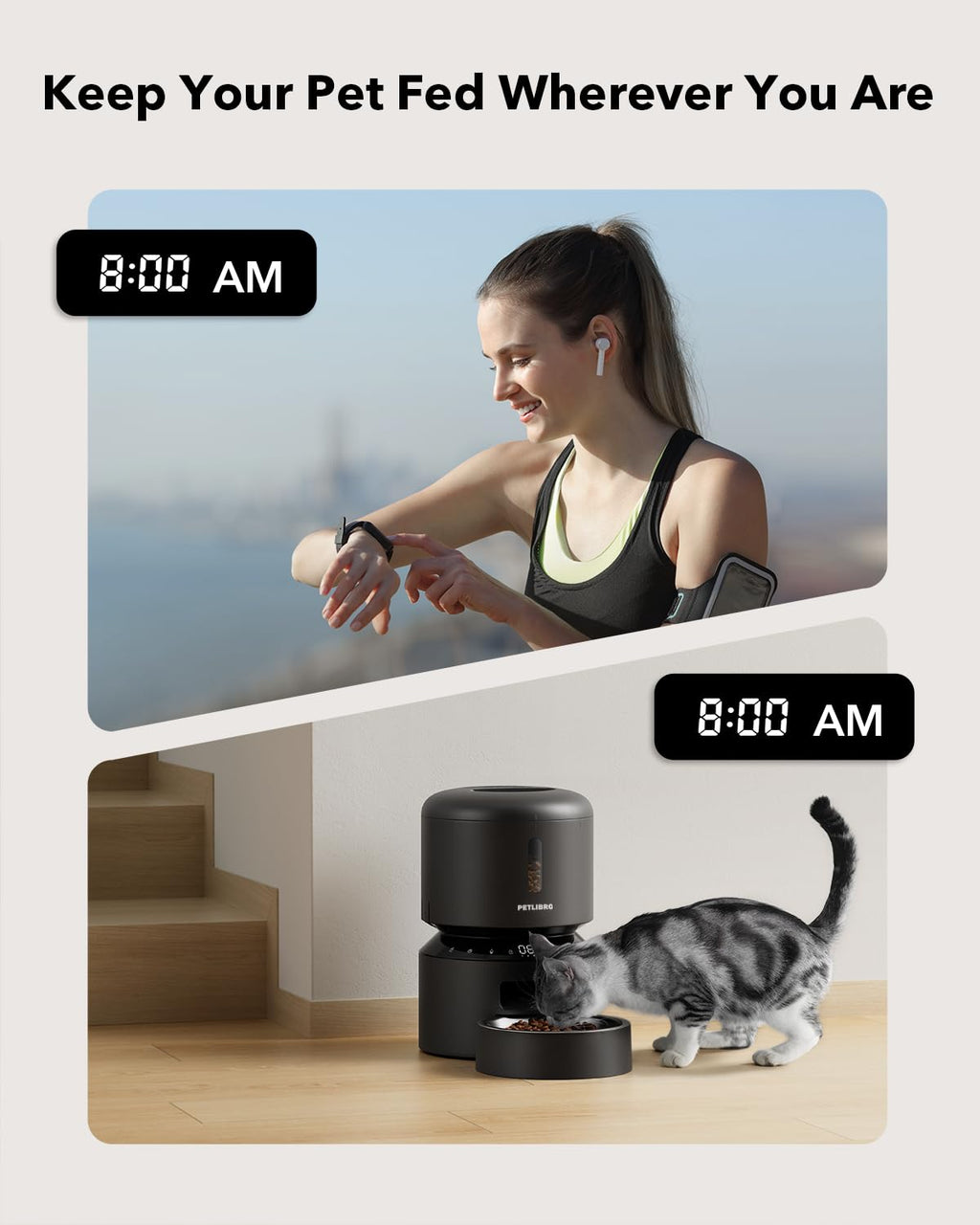 PETLIBRO Automatic Cat & Dog Food Dispenser Feeder