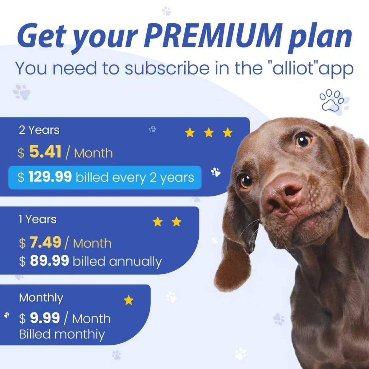 Real-Time Smart GPS Pet Tracker with 1-Month Subscription