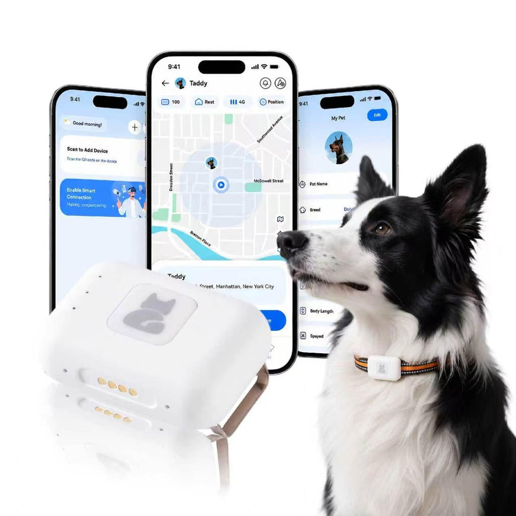 Real-Time Smart GPS Pet Tracker with 1-Month Subscription