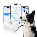 Real-Time Smart GPS Pet Tracker with 1-Month Subscription