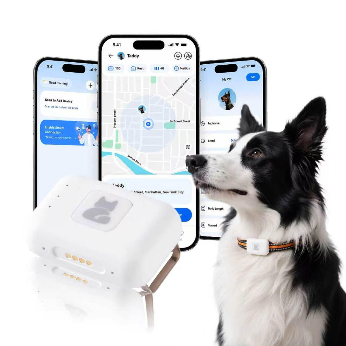 Pet Real Time GPS Tracker, Smart Dog Tracker GPS with 1 Month Subscription