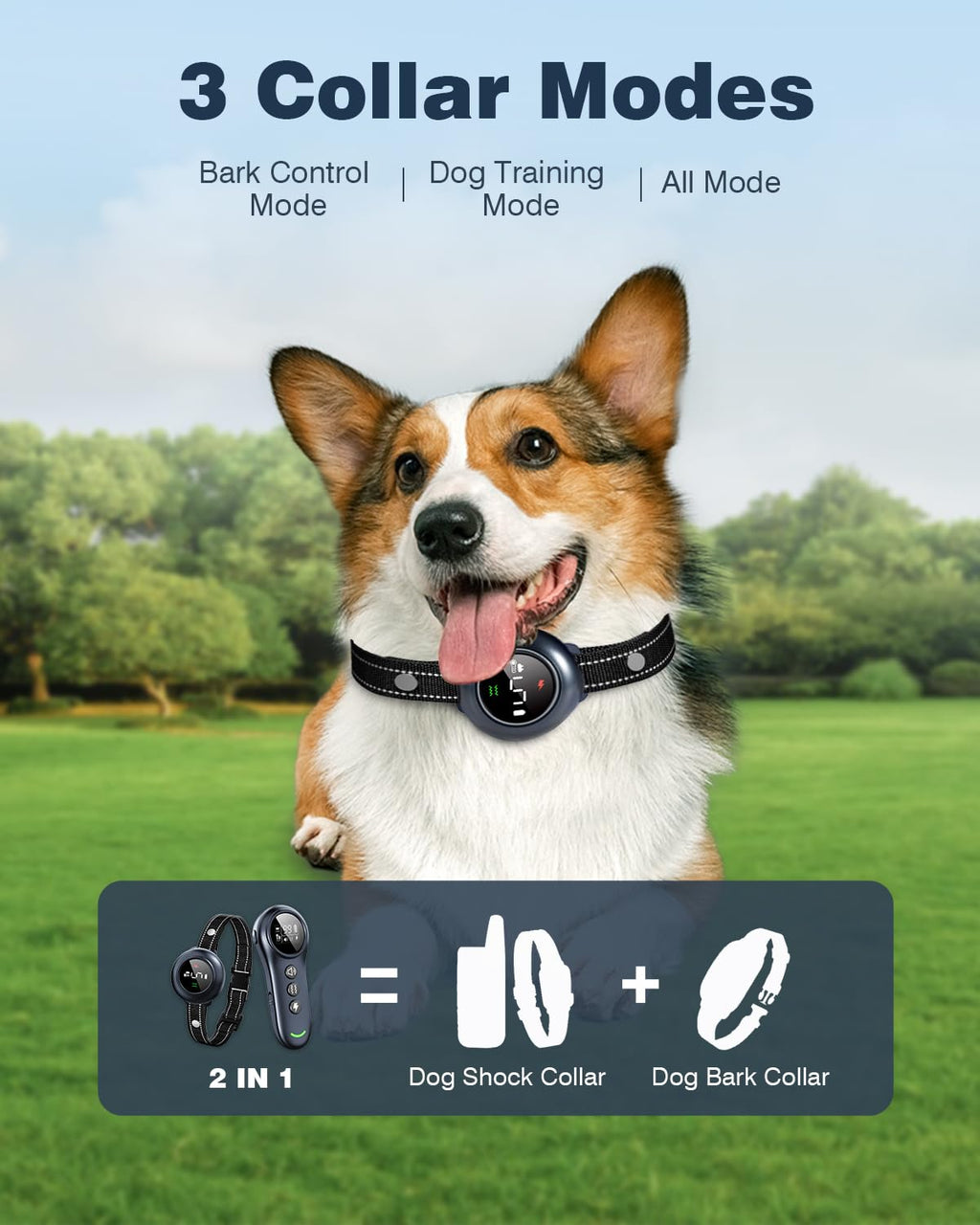 2-in-1 Smart Anti-Bark Dog Training Collar with Remote