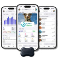 FitBark 2 Dog Health & Activity Monitor Fitness Tracker