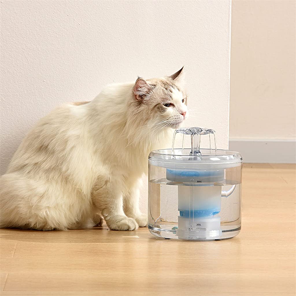 GHDVGHC Pet Water Fountain Automatic Dispenser Feeder Bowl LED Light Smart Dog Drinking