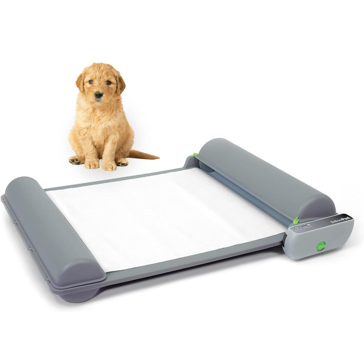 BrilliantPad Self-Cleaning Indoor Dog Potty for Puppies & Small Dogs
