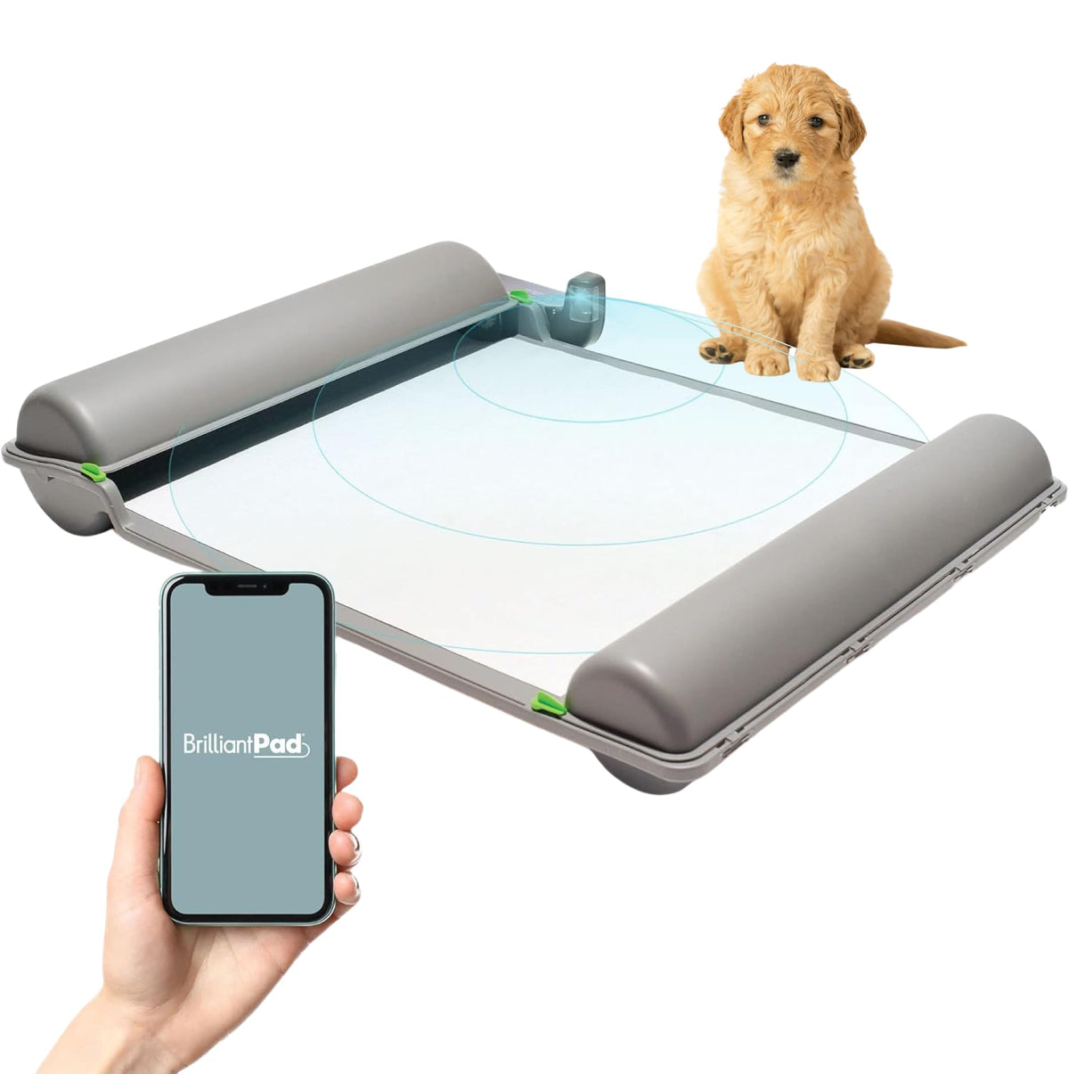 BrilliantPad Self-Cleaning Indoor Dog Potty for Puppies & Small Dogs