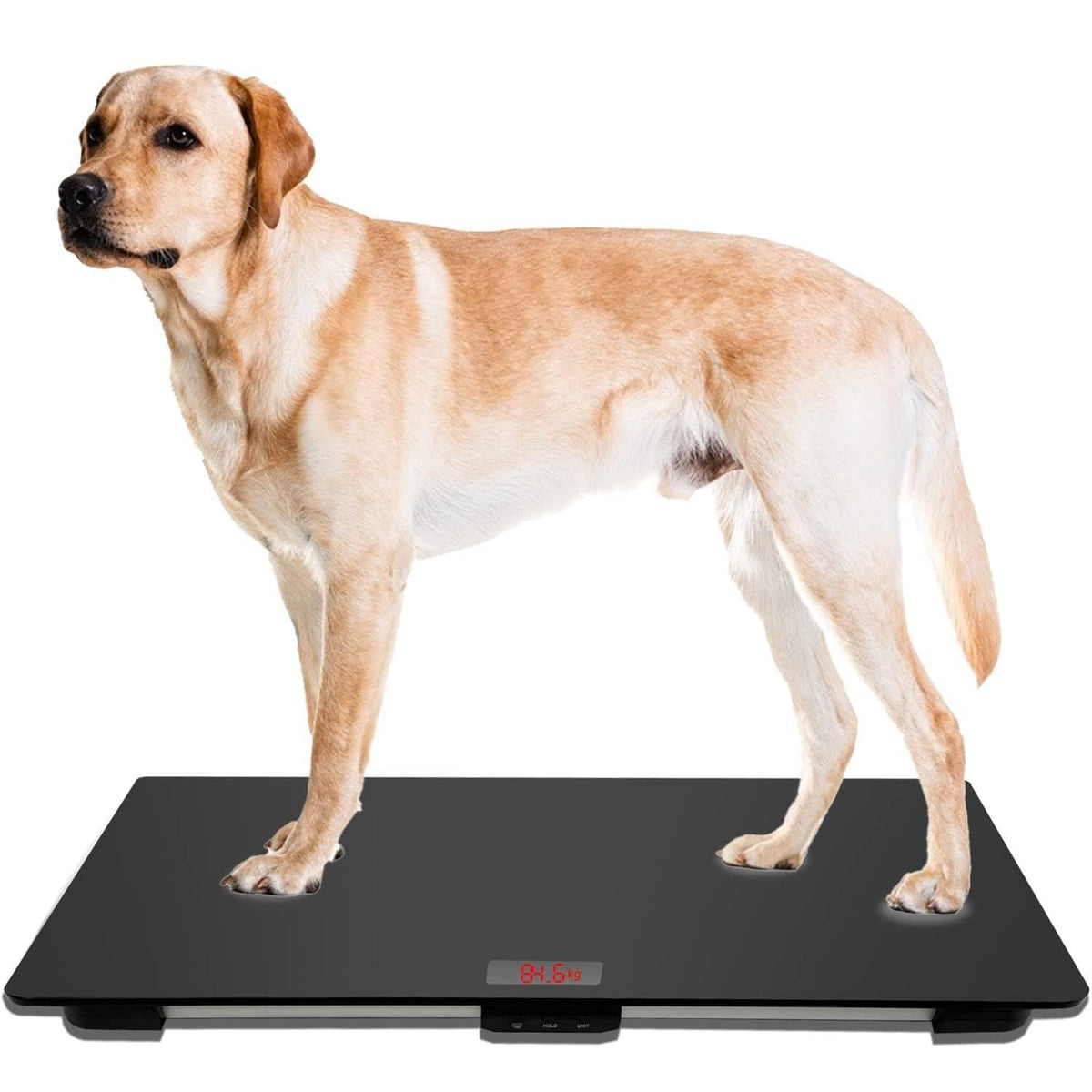 MINDPET-MED Pet Scale for Large Dog, Dog Scale 31.5X 19.7 Inches, Veterinary Scale with Non-Slip Mat, Animal Scale Platform, Weight Capacity Up to 220lbs, Accuracy 10g, with Tare/Hold, Size L, Black