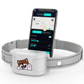 Wireless Dog Fence, GPS Dog Collar Fence System No Subscription with Training Collar, Electric Fence for Dogs Circular & Custom Boundary, IPX7 Waterproof Rechargeable of Dogs