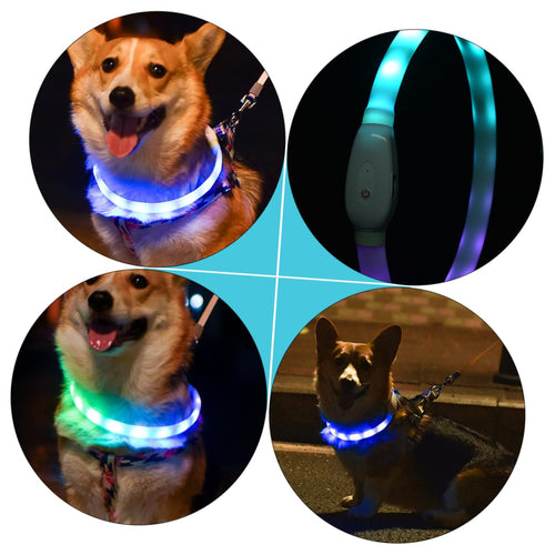 2 Sets Pet Glow Collar Basic Dog Collars Dog Glowing Pet Necklace LED Puppy Puppy