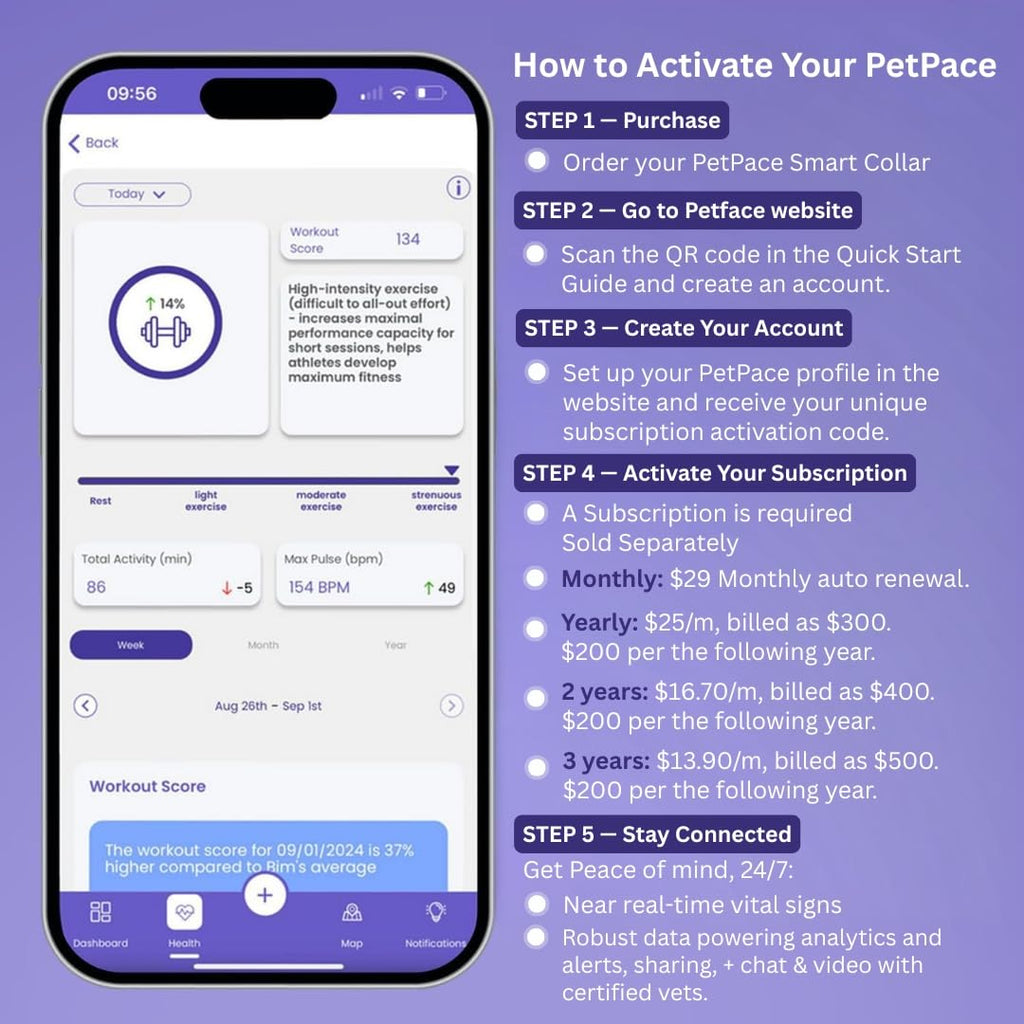 PetPace V3.0 AI Cat Health & GPS Monitoring Collar