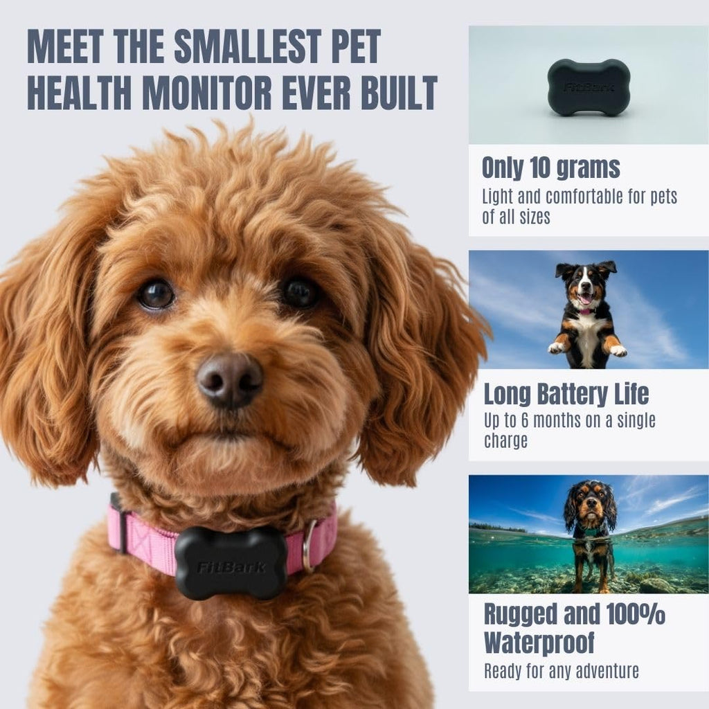 FitBark 2 Dog Health & Activity Monitor Fitness Tracker