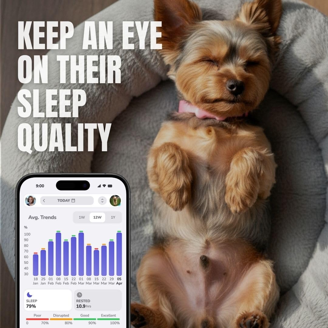 FitBark 2 Dog Activity Monitor | Health & Fitness Tracker for Dogs | Waterproof, Small & Leightweight (10 g) | Not a GPS Tracker