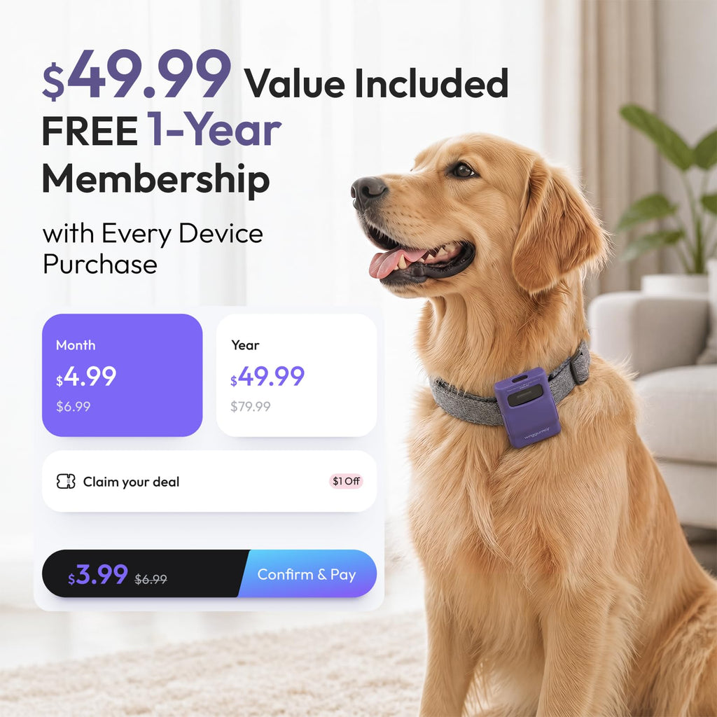 WAGGURACY 4G LTE GPS Dog Activity & Habit Tracker