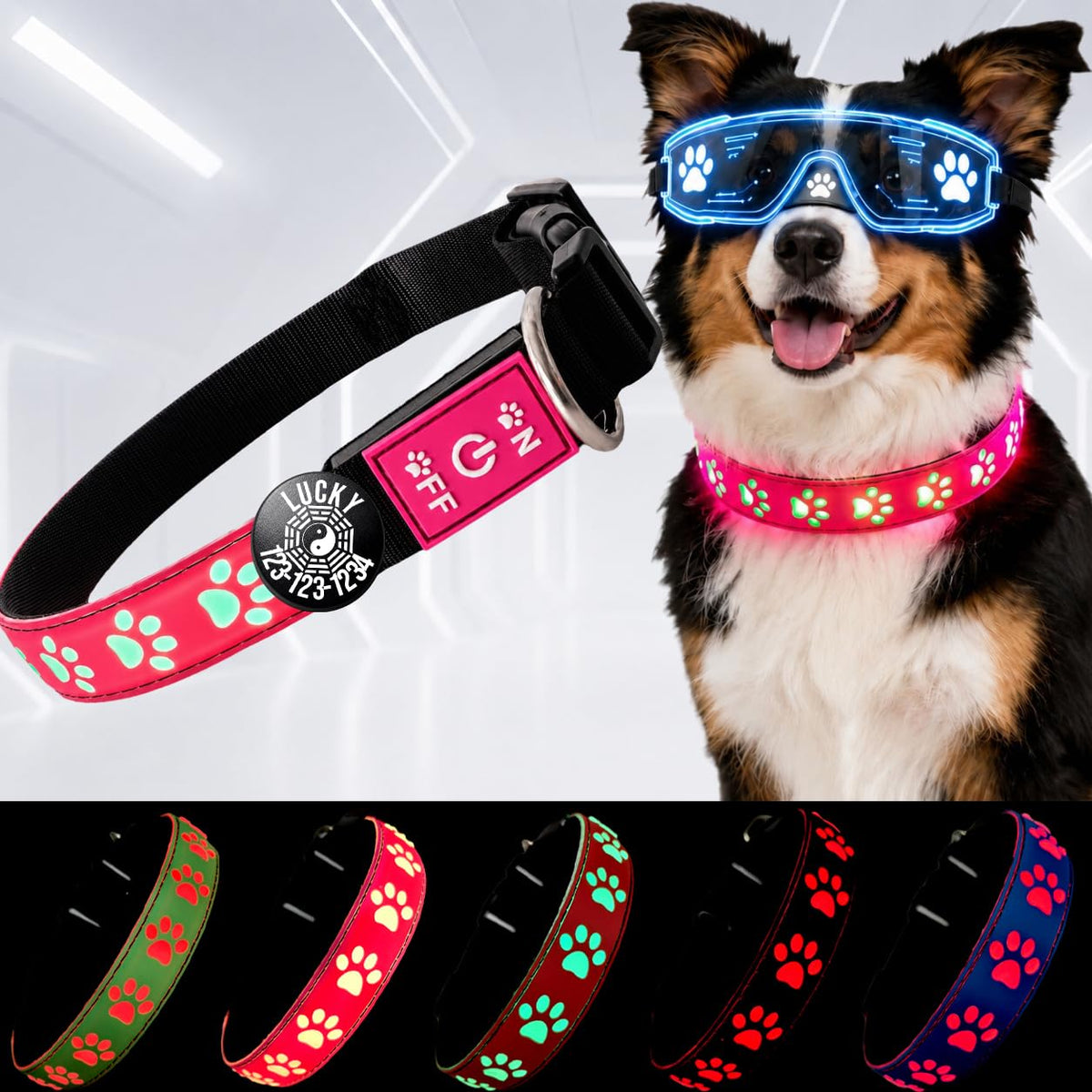 DOGLED LED Light up Dog Collar with Laser Engraved ID Tag, Paw Print Design, 15 Color Modes, USB-C Charging, Waterproof