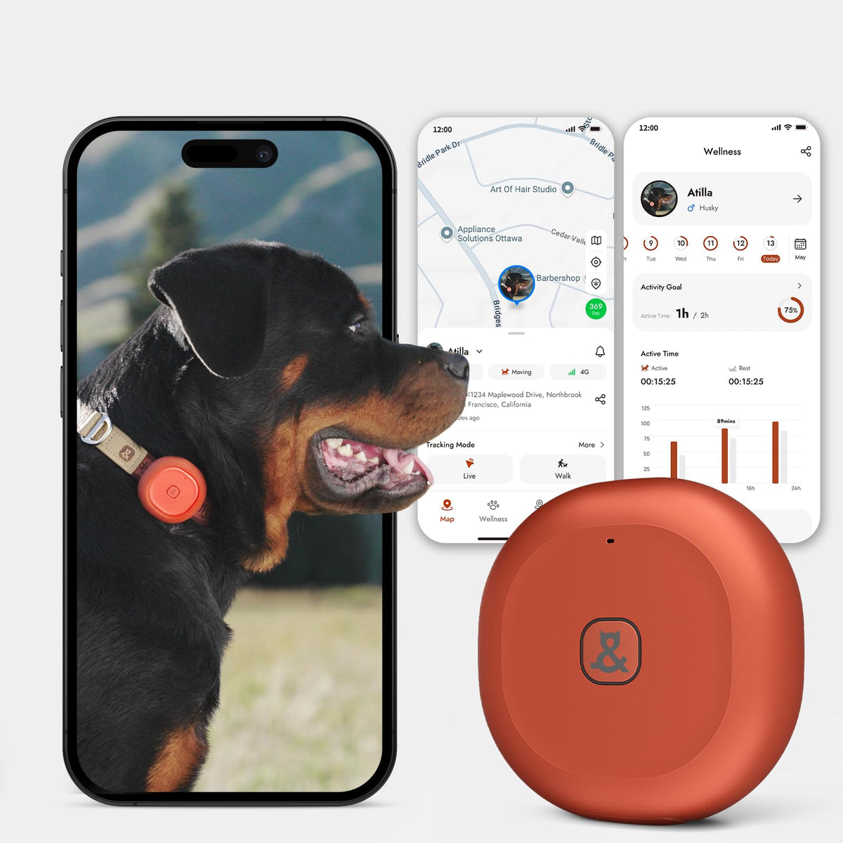 Molly&Cody GPS + Bluetooth Pet Tracker for Cats & Dogs – Real‑Time Tracking, Virtual Fence, IP67 Waterproof, Up to 60‑Day Battery, Health Monitoring, iOS/Android – Subscription Required