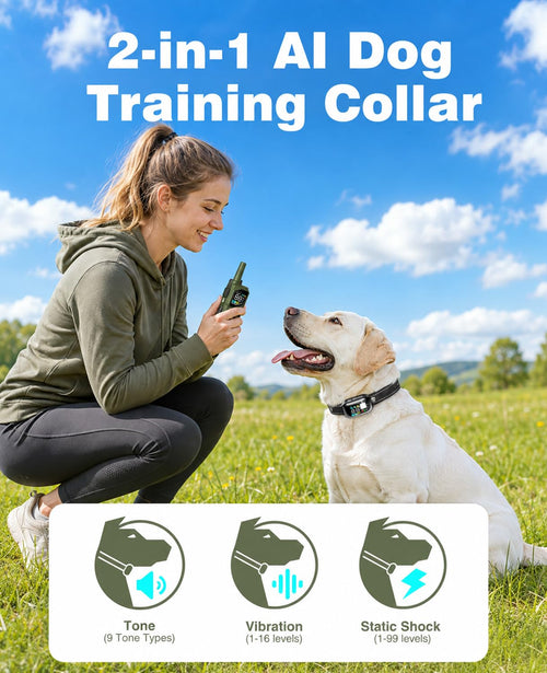 3300FT Remote Dog Training Collar with 3 Training Modes