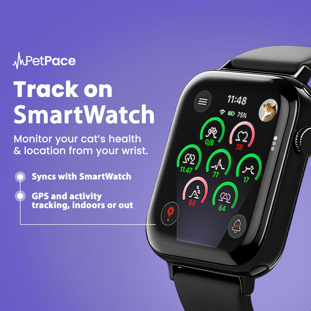 PetPace V3.0 AI Cat Health & GPS Monitoring Collar