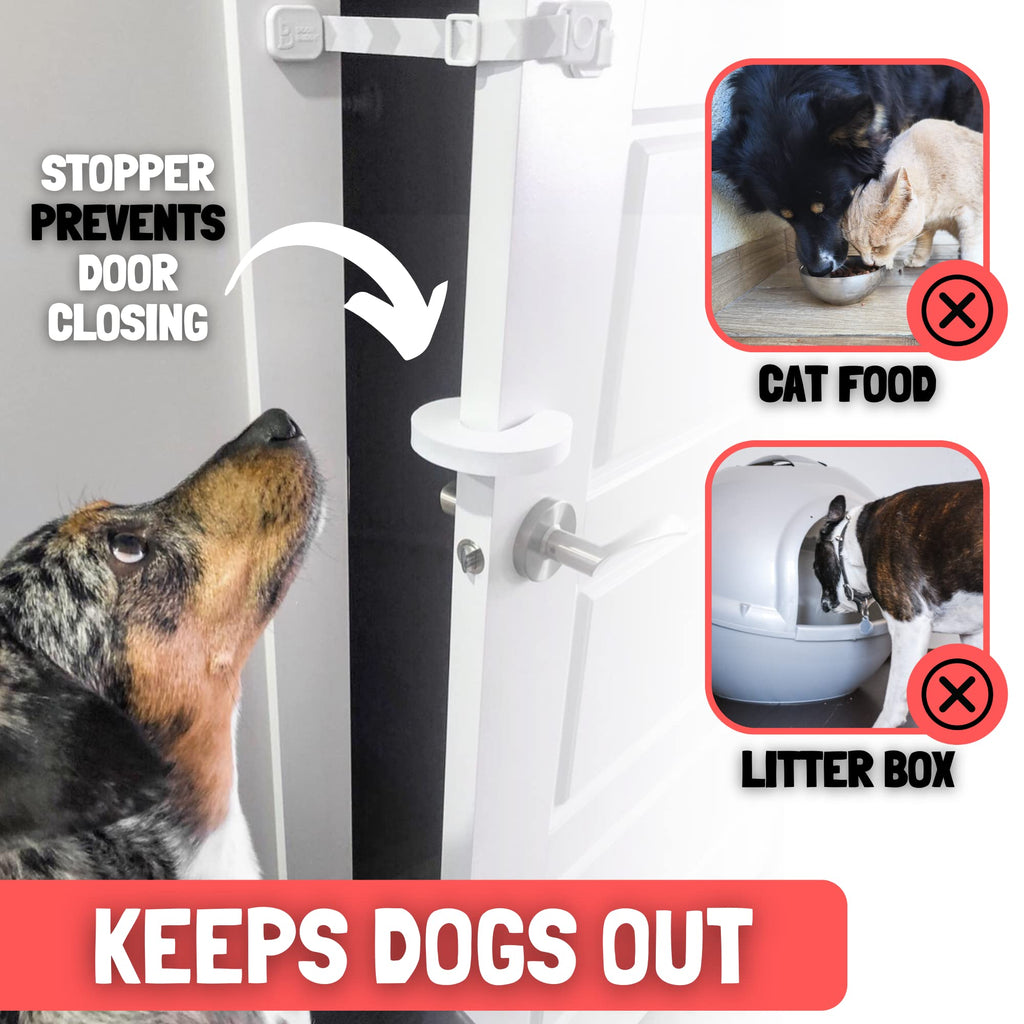 Door Buddy Adjustable Cat Door Latch & Dog-Proof Stopper