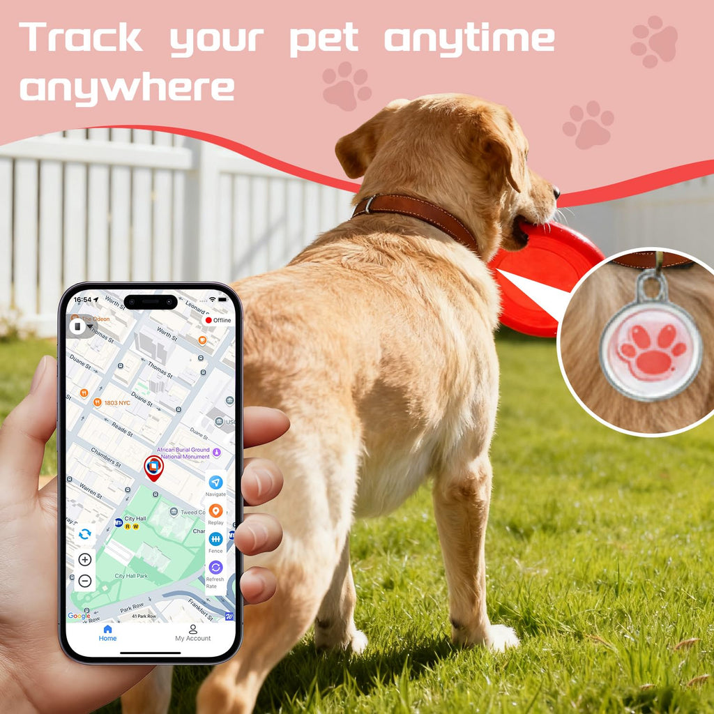 Smart GPS Dog Tracker with Real-Time Location Monitoring