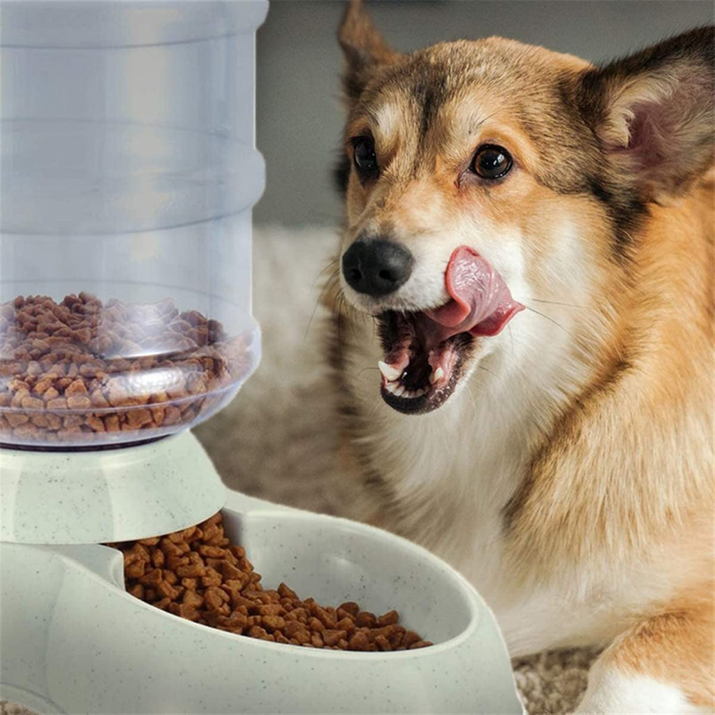 MENGKK Pet Water Dispenser Automatic Dog Feeder Waterer High Capacity Pet Food Bowl Gravity Water Dispenser for Dogs Cats 3.8 L Accessories