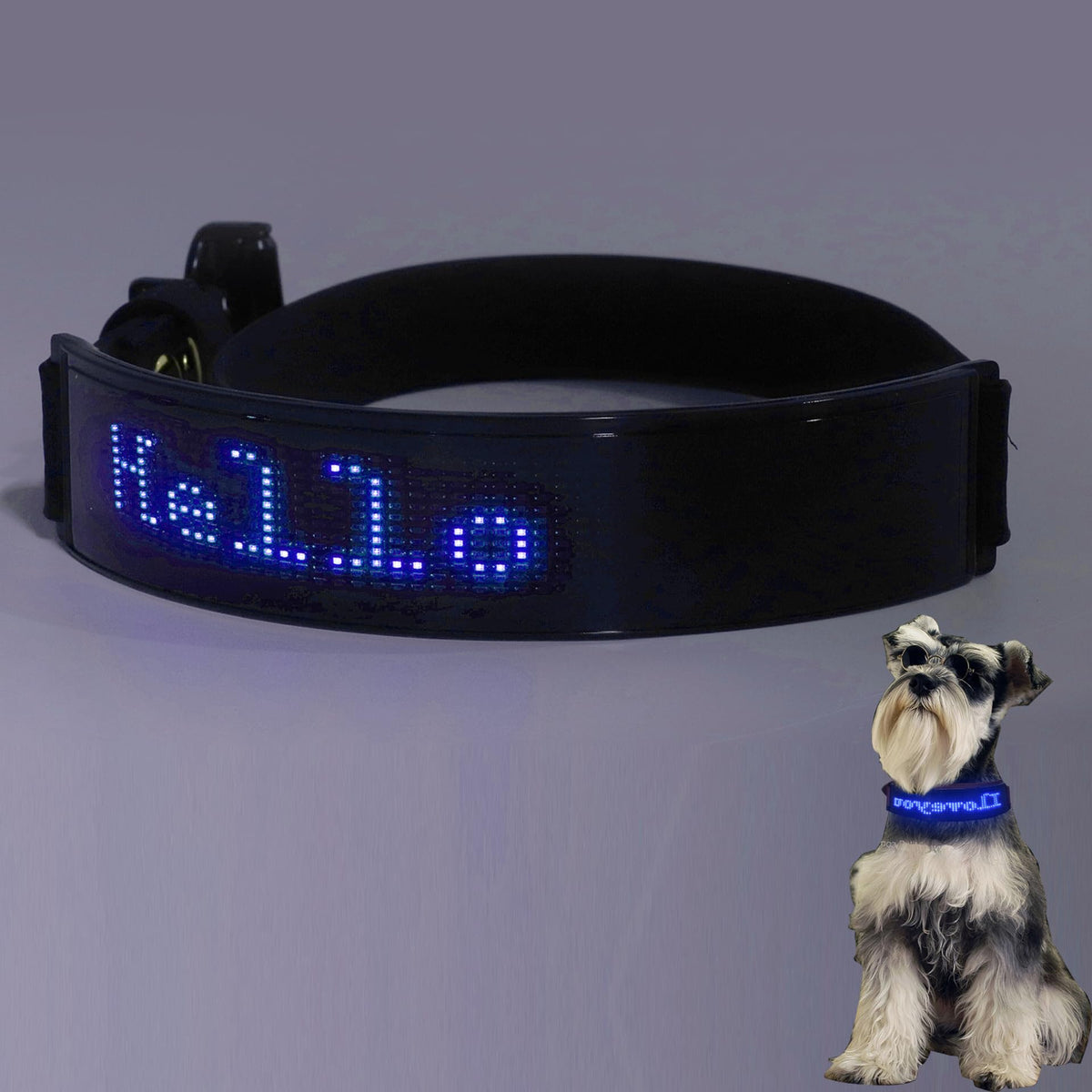 LED Dog Collar, Smart DIY Screen, Dog Tags Personalized Rechargeable Light Up Dog Collar Glow in The Dark Pet Necklace for Night Walking, APP Controlled(Blue Green and Red)