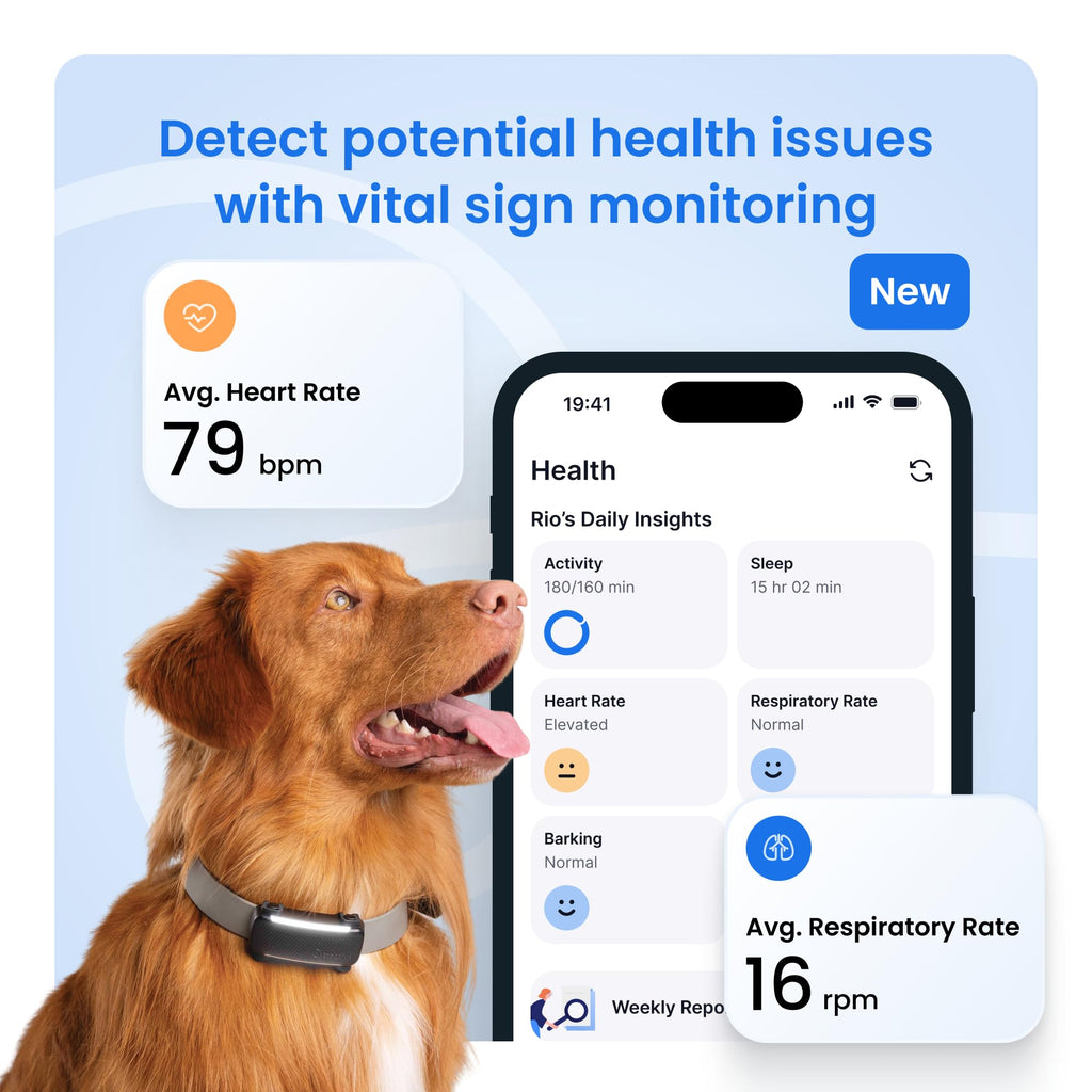 Tractive Smart Dog GPS Tracker with Virtual Fence & Health Monitoring