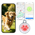 Smart GPS Dog Tracker with Real-Time Location Monitoring