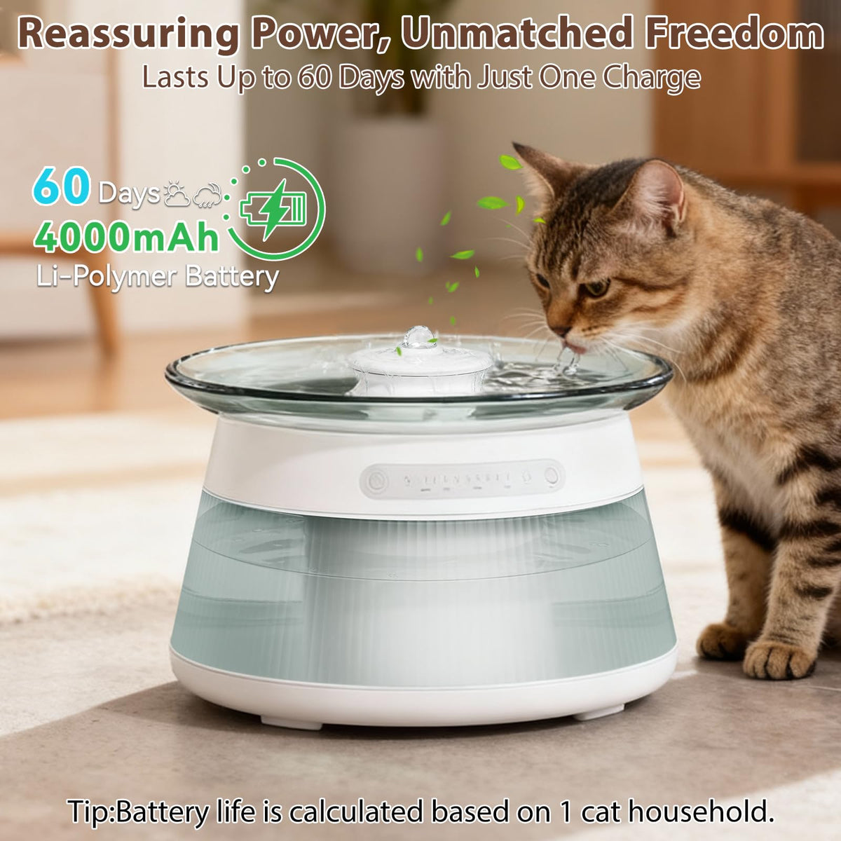 Smart Filterless Automatic Cat Water Fountain for Indoor Use