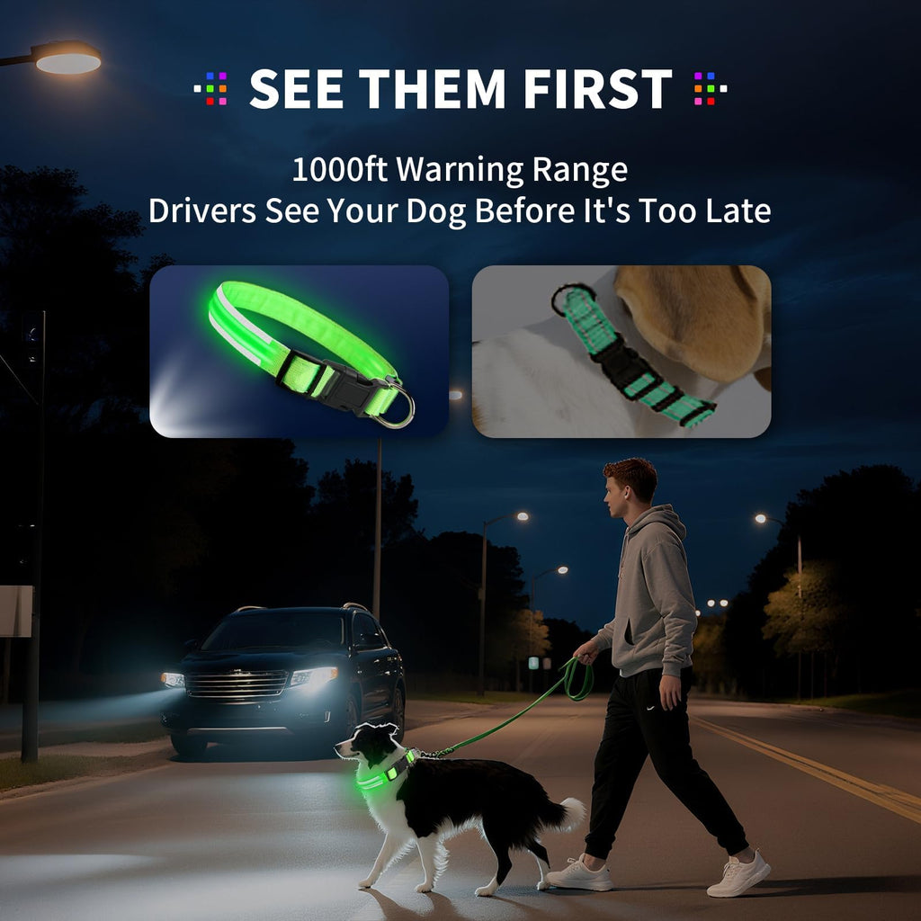 PetIsay Rechargeable LED Dog Collar for Night Safety