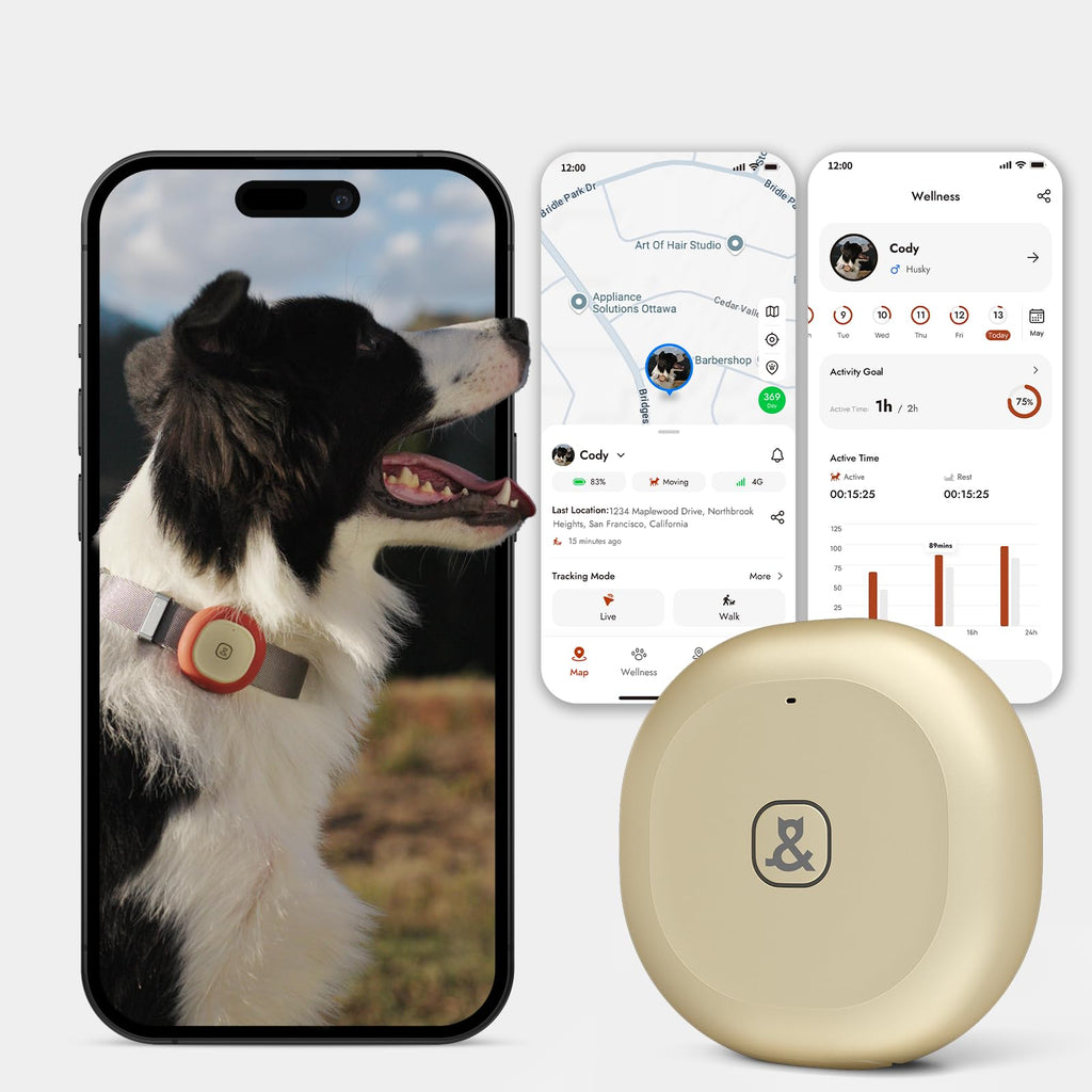 Molly&Cody GPS + Bluetooth Pet Tracker for Cats & Dogs – Real‑Time Tracking, Virtual Fence, IP67 Waterproof, Up to 60‑Day Battery, Health Monitoring, iOS/Android – Subscription Required