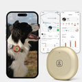 Molly&Cody GPS + Bluetooth Pet Tracker for Cats & Dogs – Real‑Time Tracking, Virtual Fence, IP67 Waterproof, Up to 60‑Day Battery, Health Monitoring, iOS/Android – Subscription Required